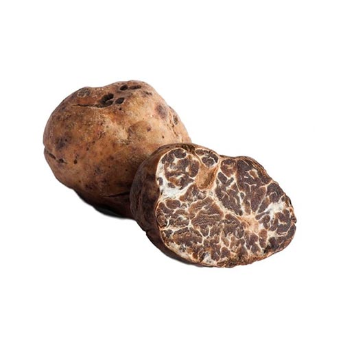 tartufo-bianchetto-nerobio-tartufi